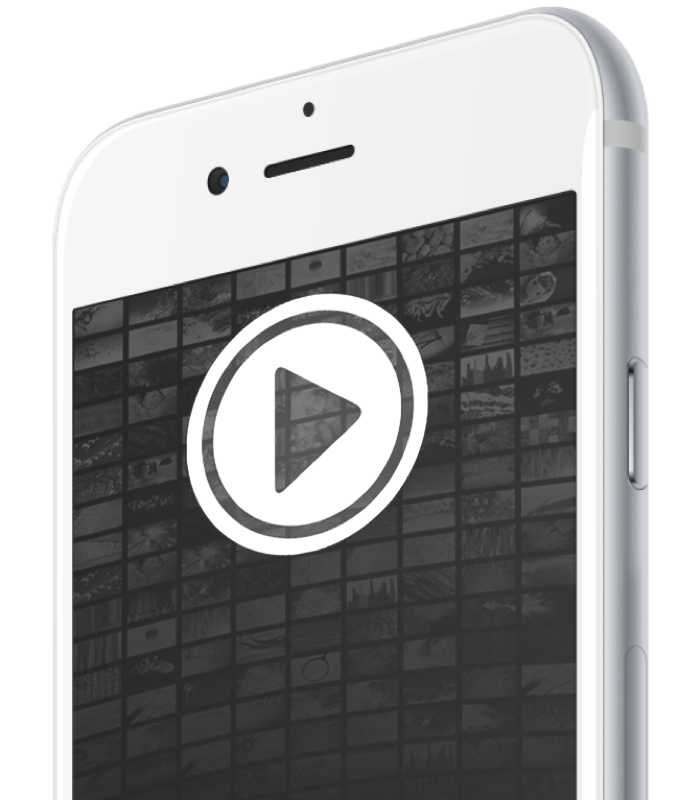 Link your fitness device Earn Vitality fitness points Discovery